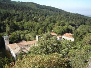 Albergo La Foresta Reggello Exterior photo